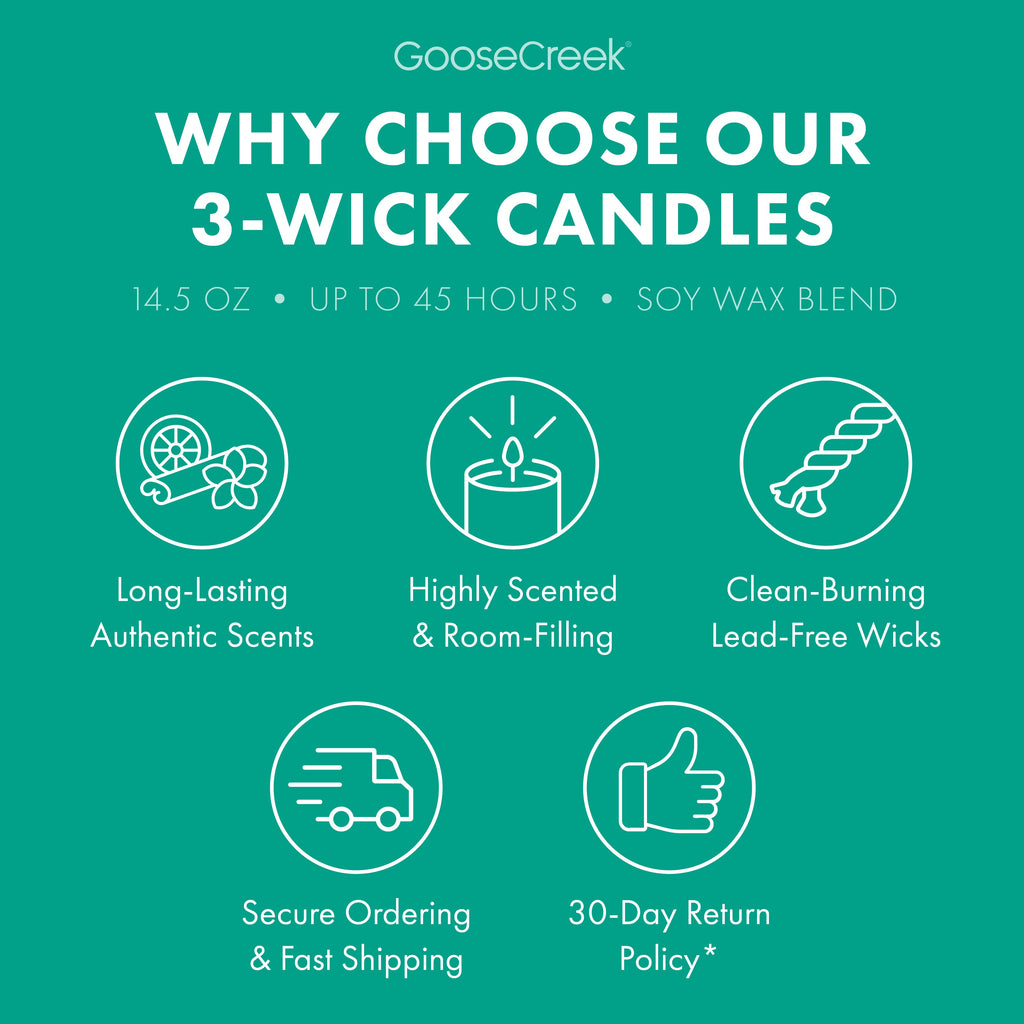 Angry Beavers Nickelodeon 3-Wick Candle