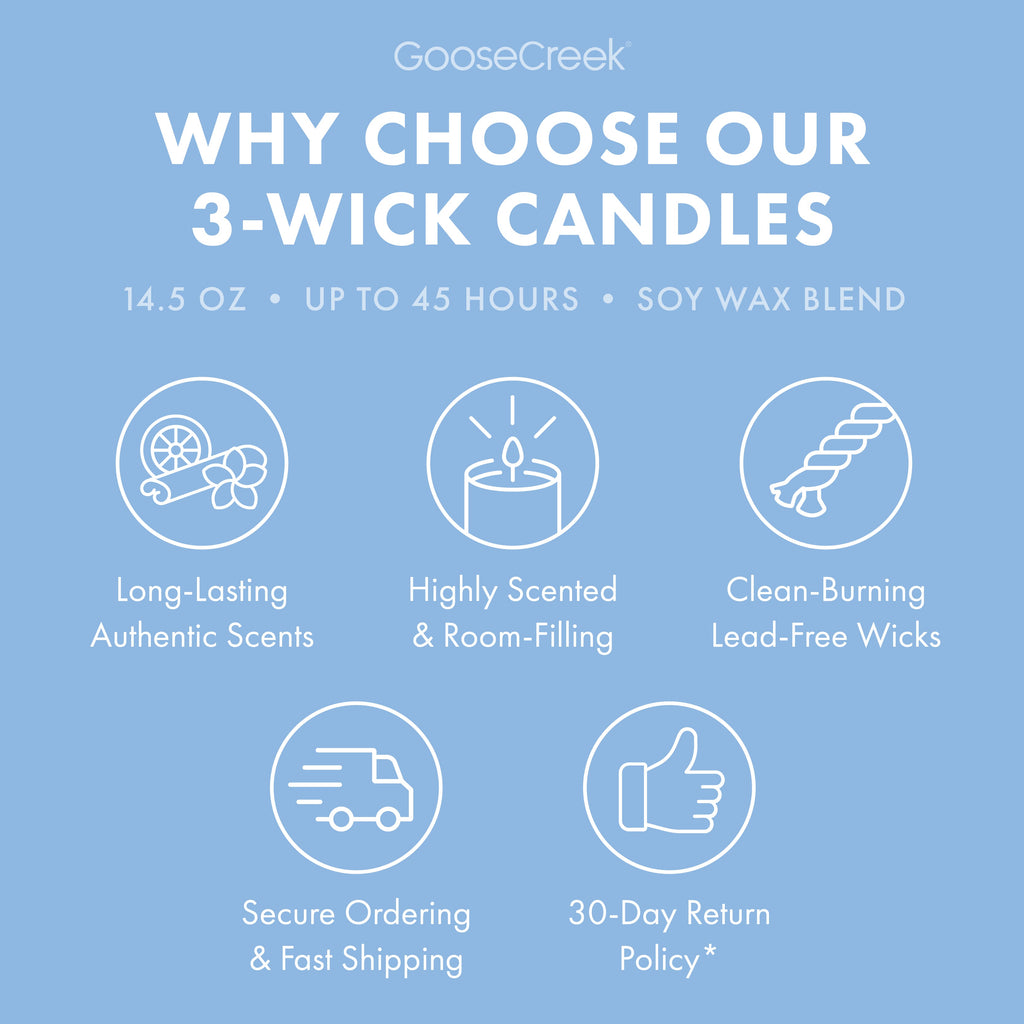 Blueberry Cheesecake 3-Wick Candle