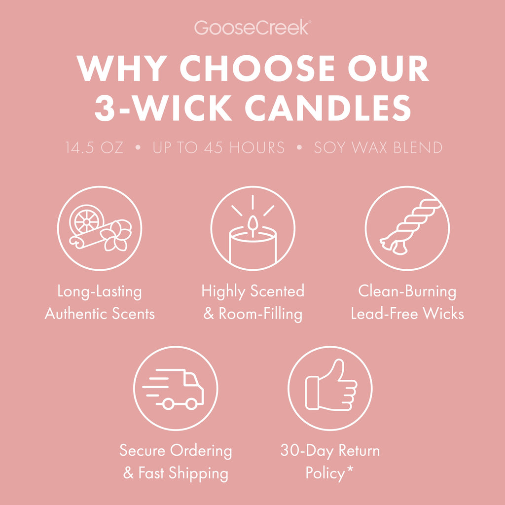 Dragonfruit Splash 3-Wick Candle