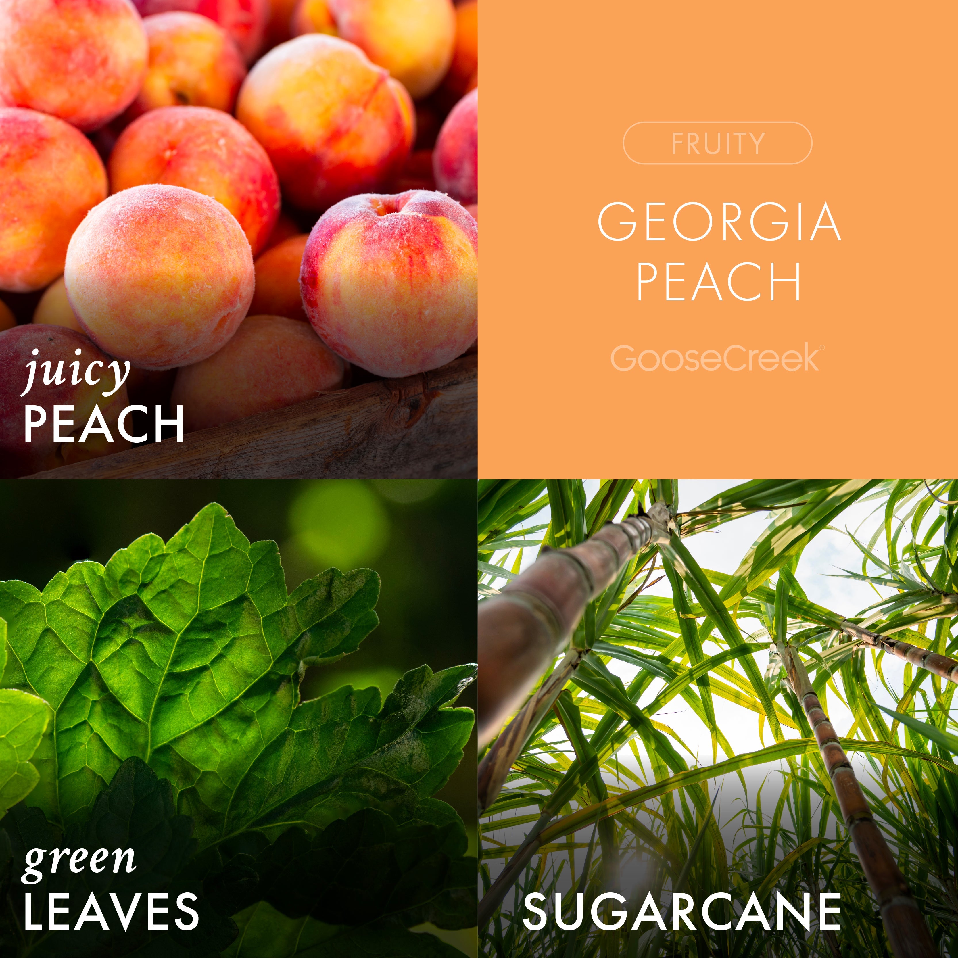 Georgia Peach 3-Wick Candle