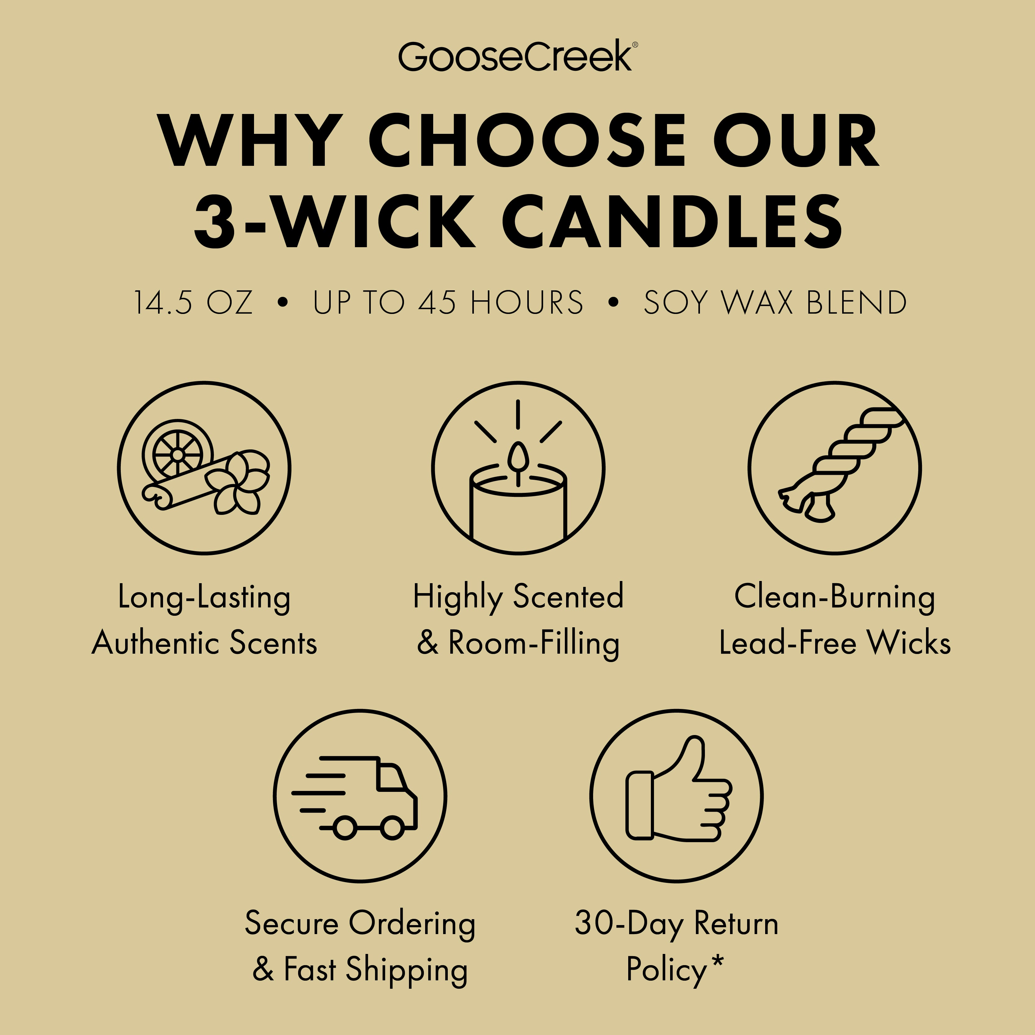 Girl Scout Adventurefuls? 3-Wick Candle