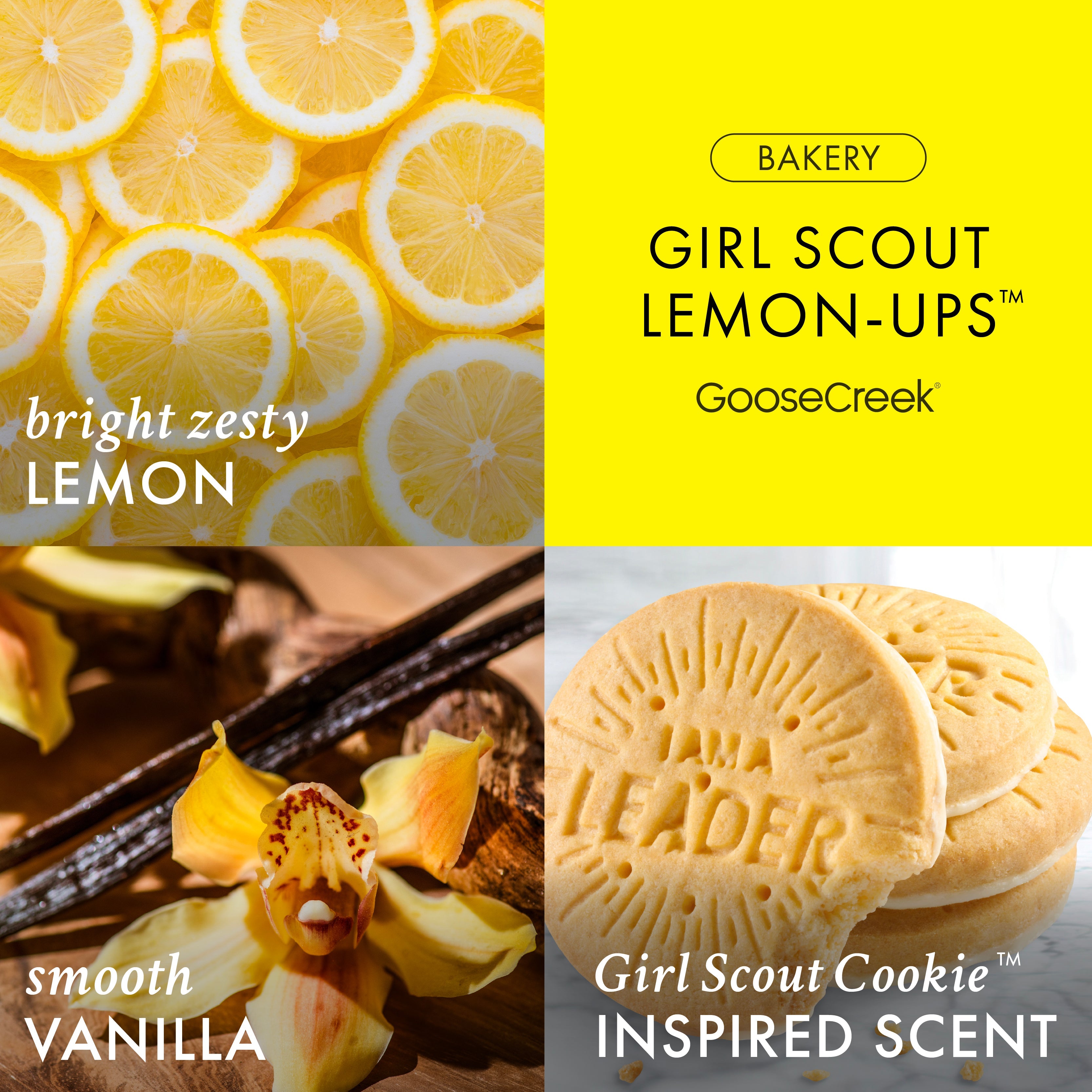 Girl Scout Lemon-Ups? 3-Wick Candle