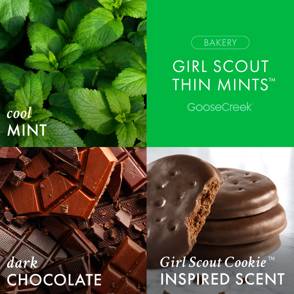 Girl Scout Thin Mint? 3-Wick Candle