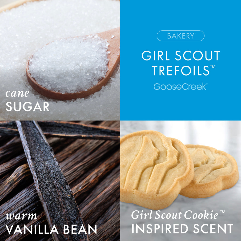 Girl Scout Trefoils? 3-Wick Candle