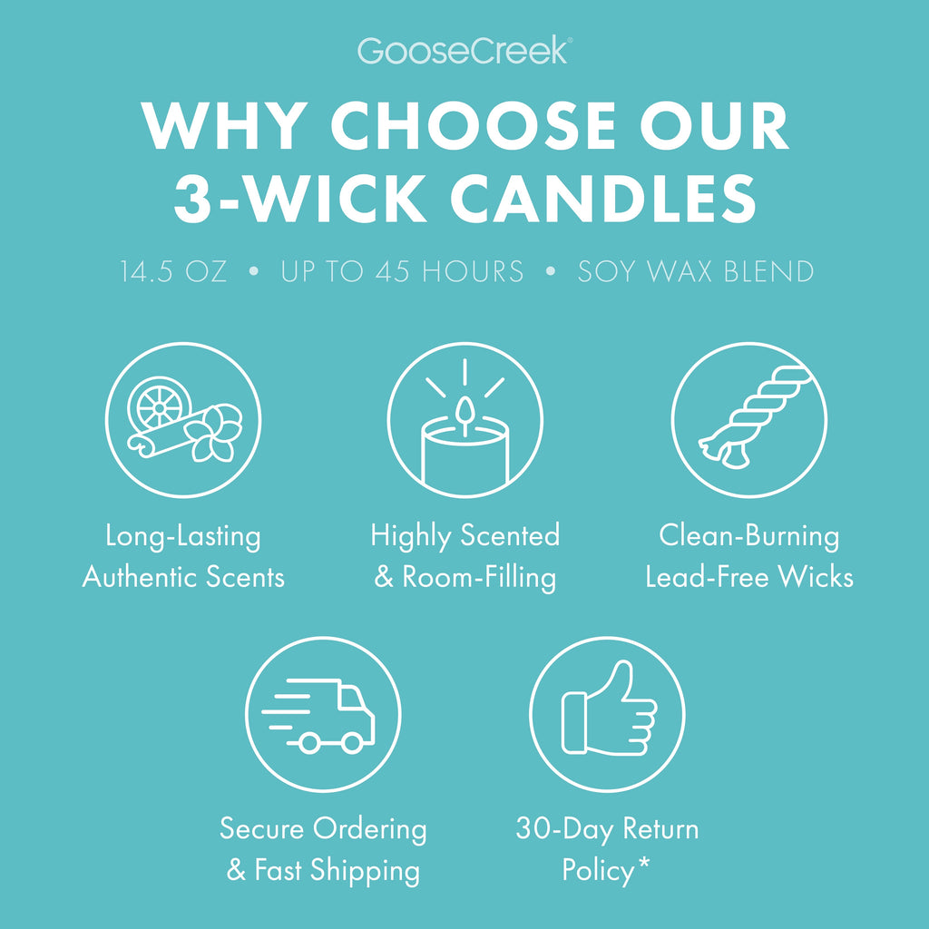 Hey Arnold Nickelodeon 3-Wick Candle