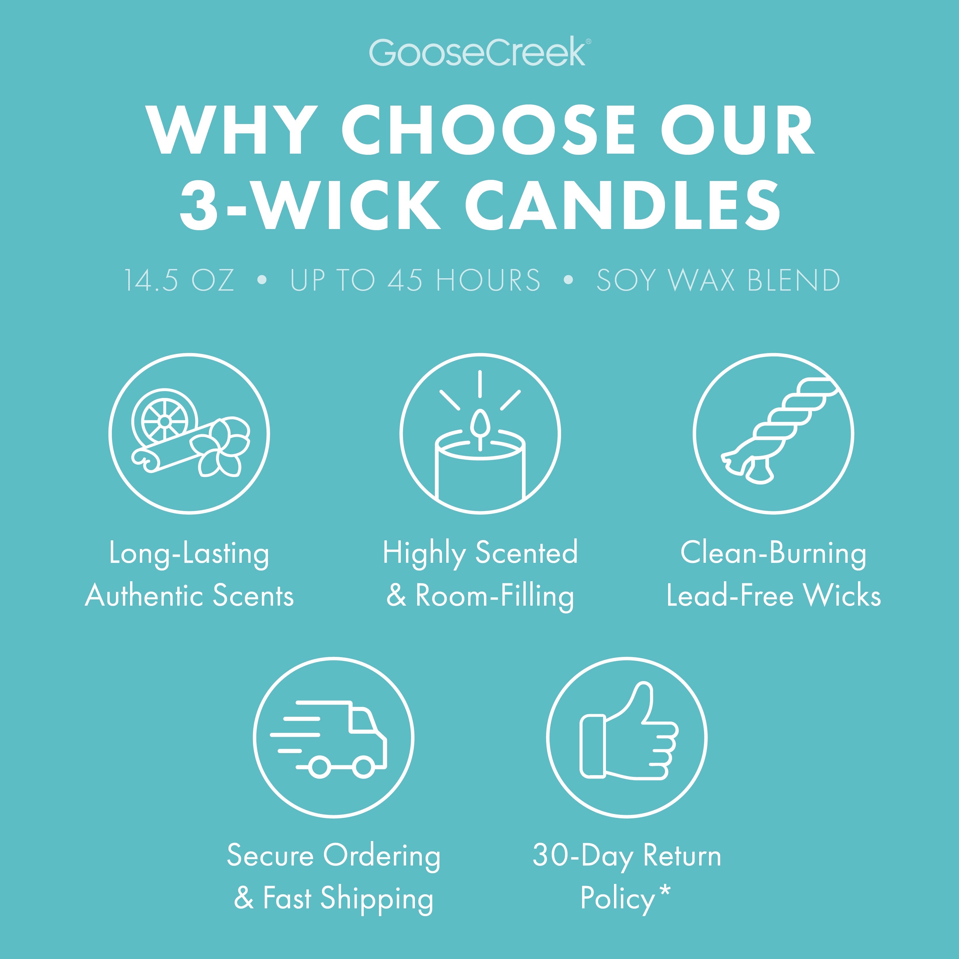 Hey Arnold Nickelodeon 3-Wick Candle