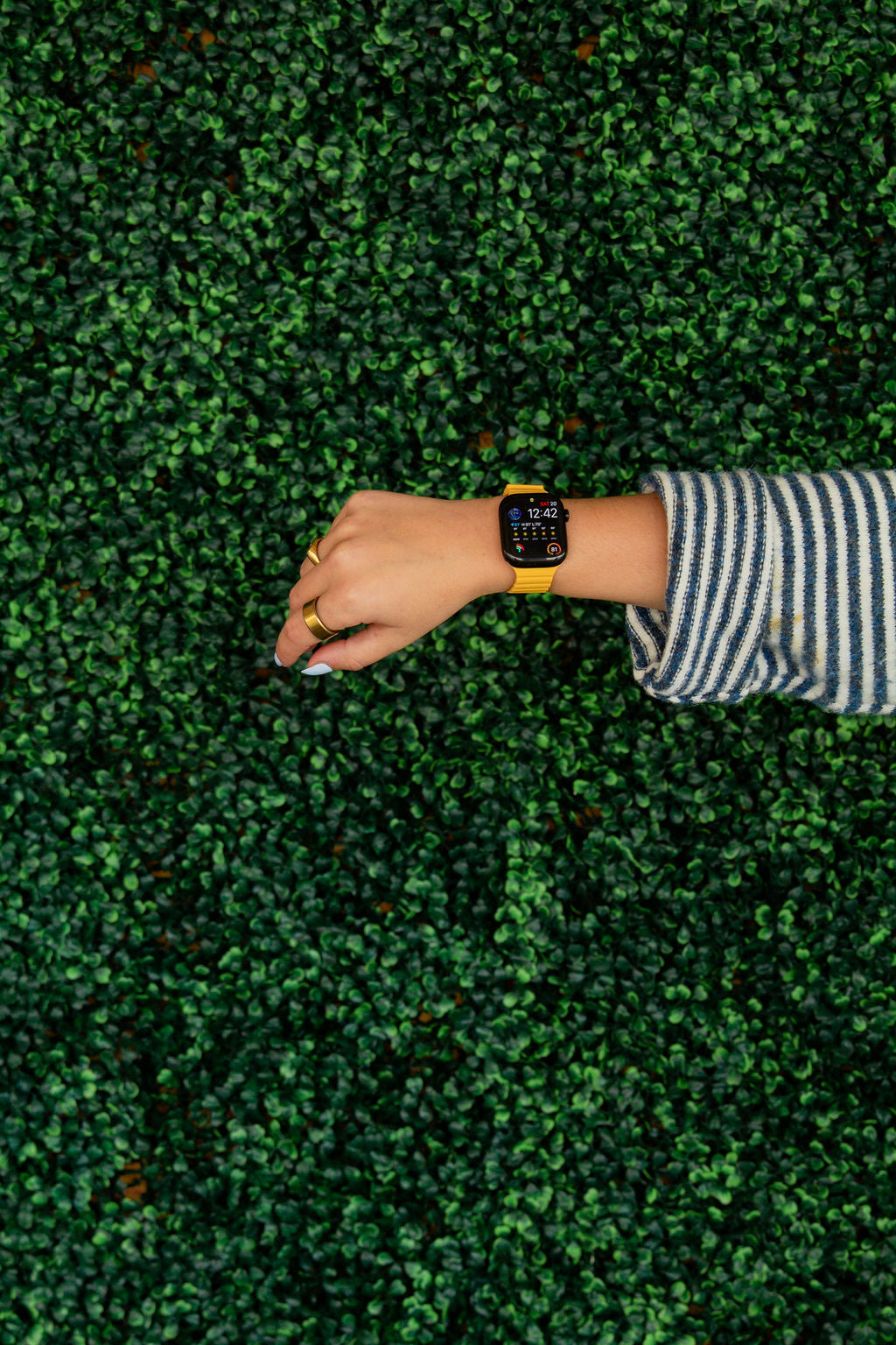 Marigold Magnetic Loop Watch Band