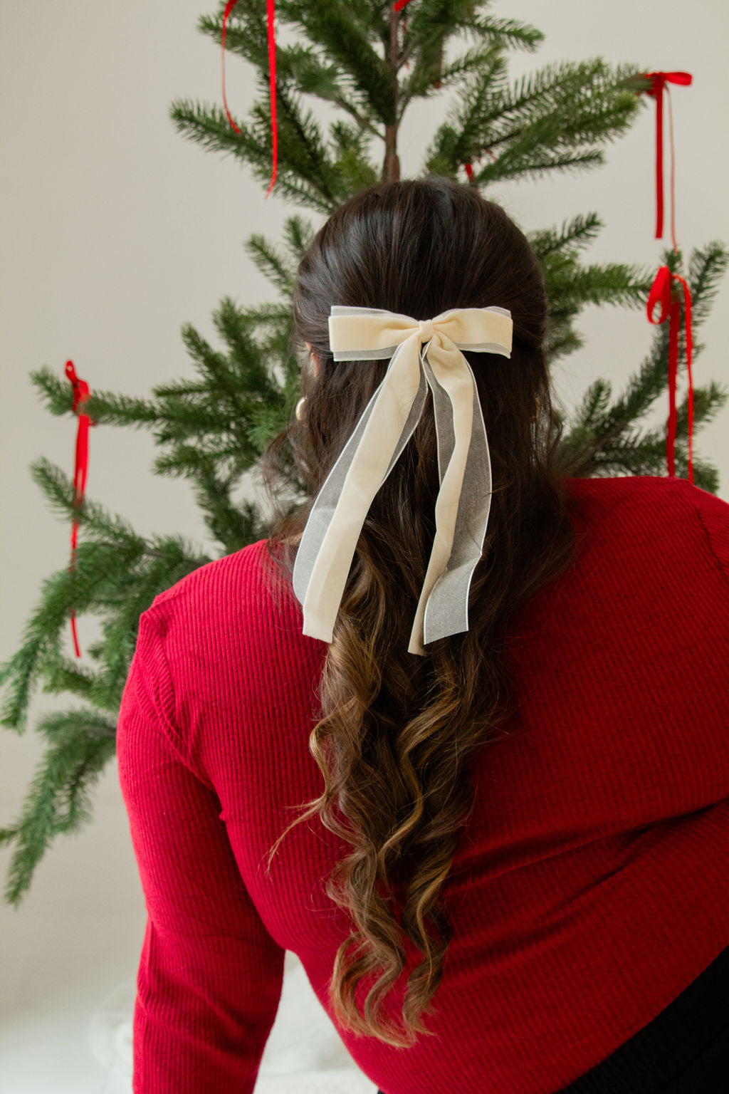 Chiffon + Velvet Bow