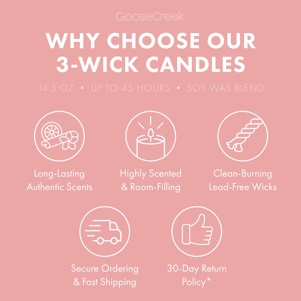Macintosh Apple 3-Wick Candle
