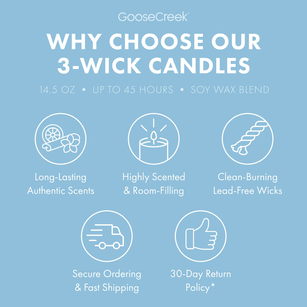 Rocket Power Nickelodeon 3-Wick Candle