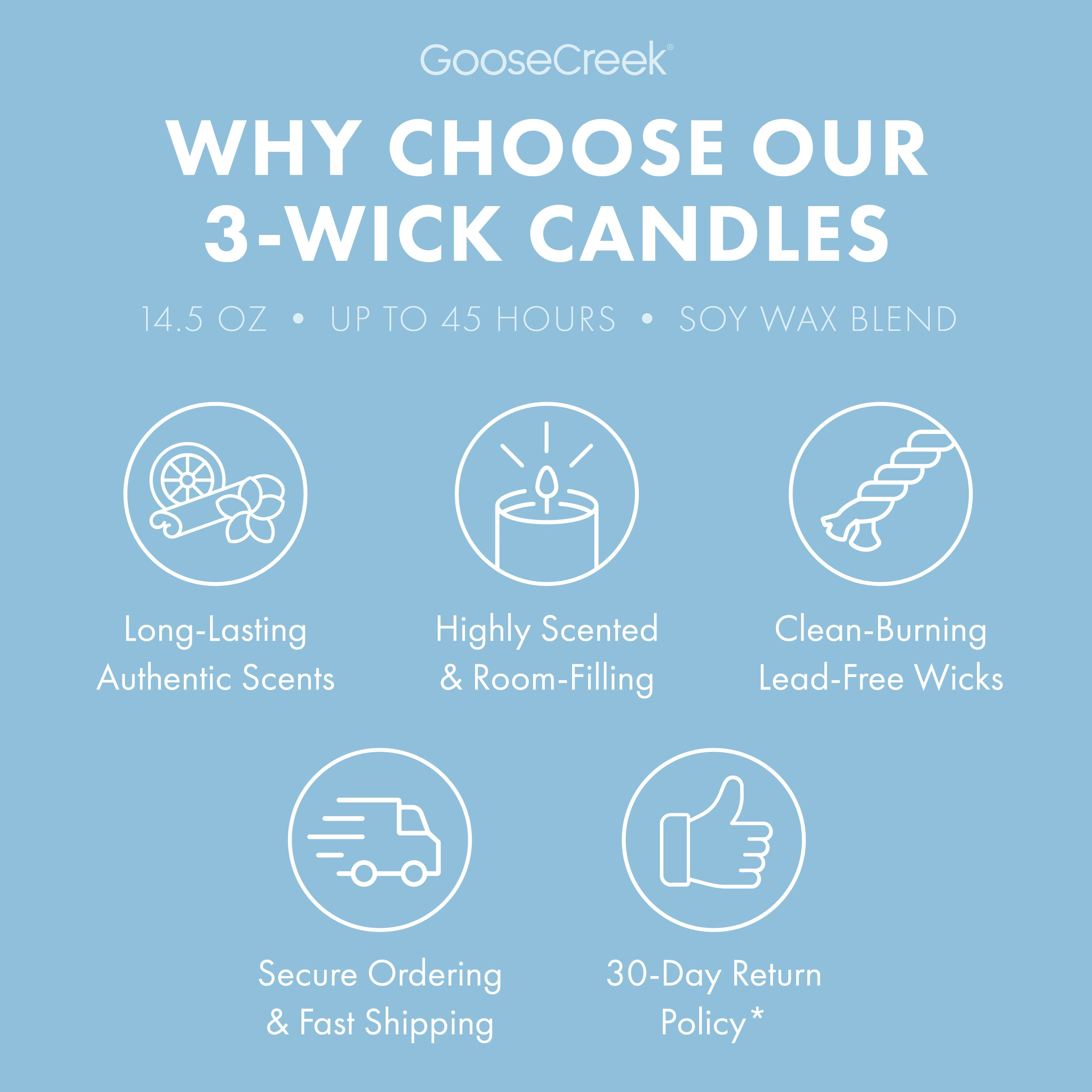 Rocket Power Nickelodeon 3-Wick Candle