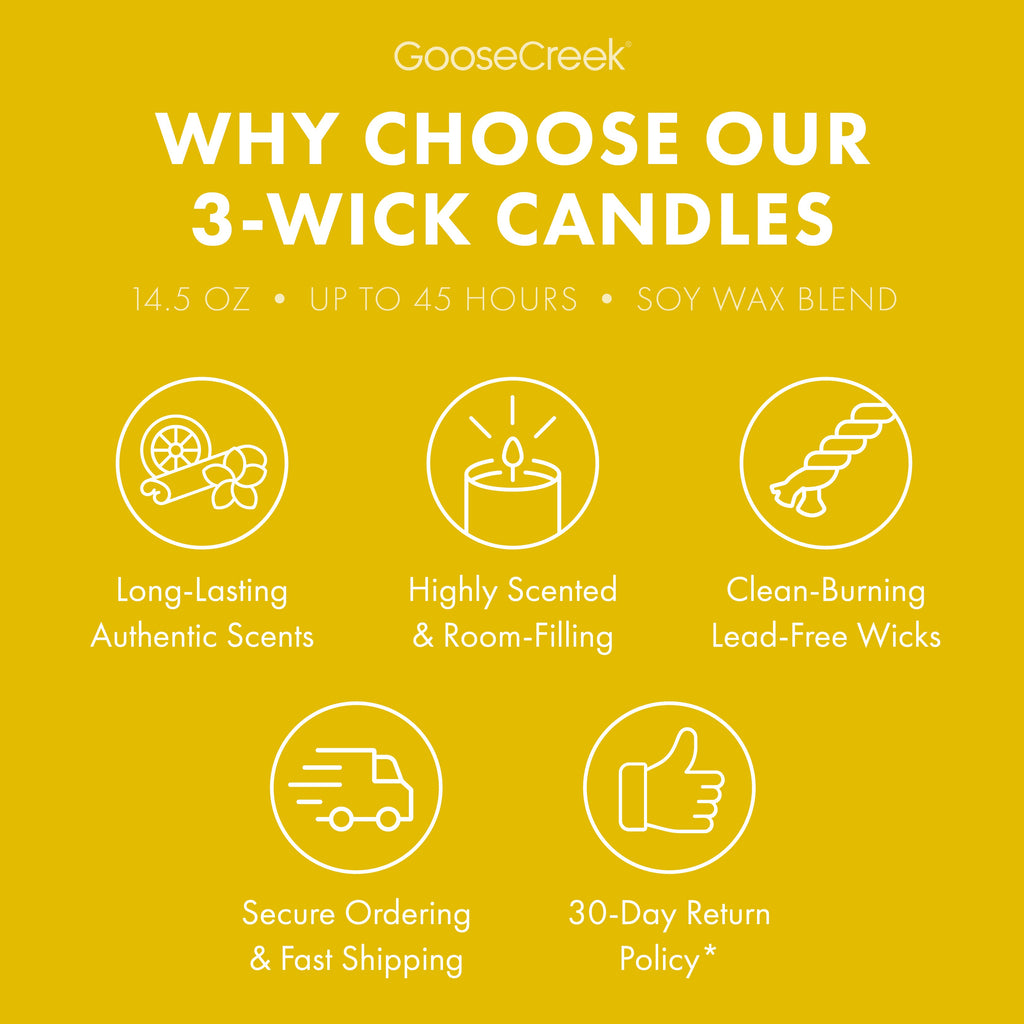 The Wild Thornberry's  Nickelodeon 3-Wick Candle
