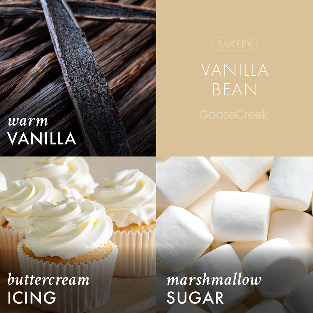Vanilla Bean 7oz Single Wick Candle